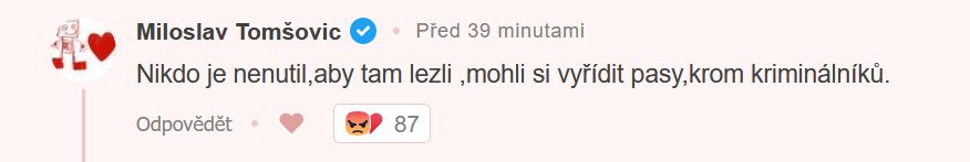 tomsovic.jpg